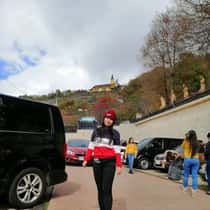 Ricel