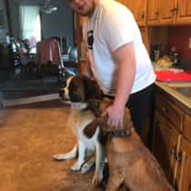 Geno87