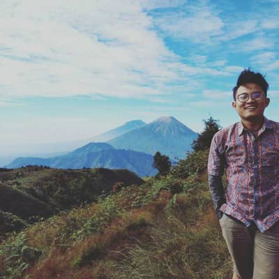 Widi