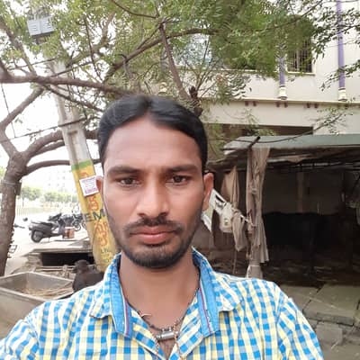 Siva