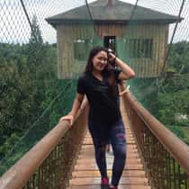Sheshe