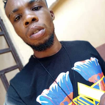 stiga wiseking