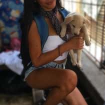 Mechelyn
