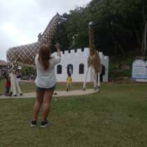 Jona