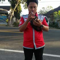 DWISUGIArtO