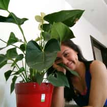 juliebe