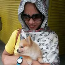 Ailah