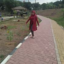 Pertiwi