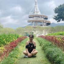 TePy86