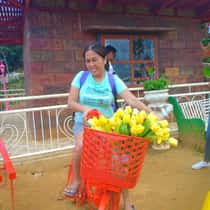 Charo Bacacao Enriquez