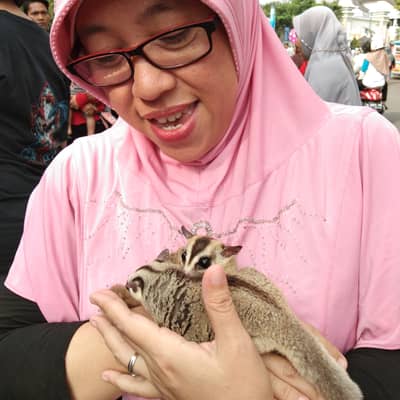 Aderis