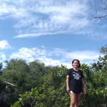 Sai
