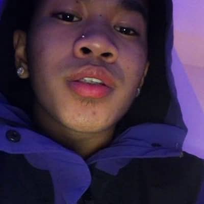 gelo