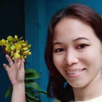 Hannah sy