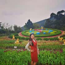 Anne