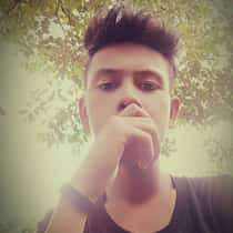 Vince