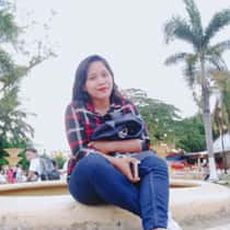 Salvie