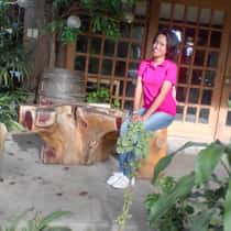 Flyn