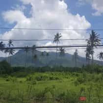 Leejan