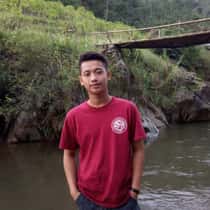 Alvin