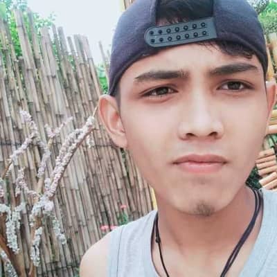 febri anggara