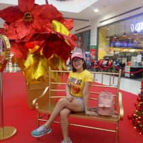 Febe
