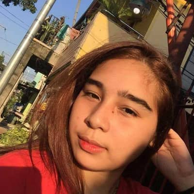 icygdss_