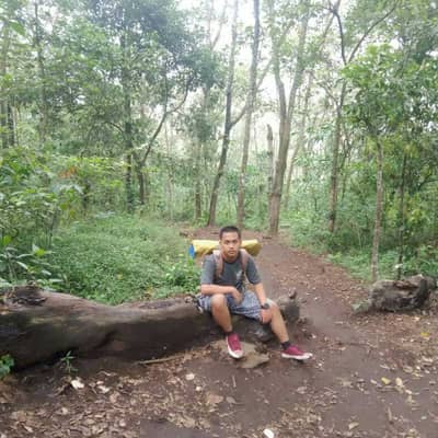Bagusstr