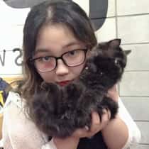 Kim Ngân