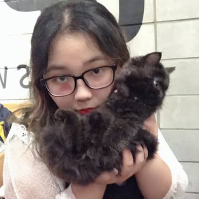 Kim Ngân