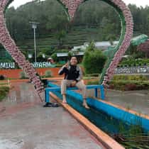 Amir
