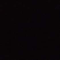 Ron