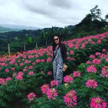 Anne
