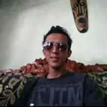 david