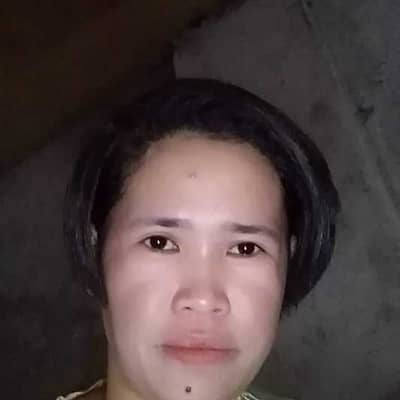 anne17
