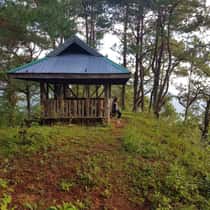 Thea