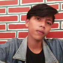 Aldy triadi