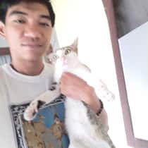 Iwil sugianto
