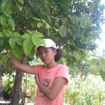 rosalie