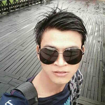 Linn 95