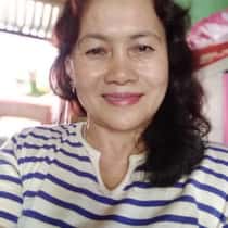 yolly