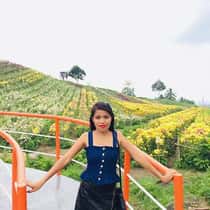 jovy