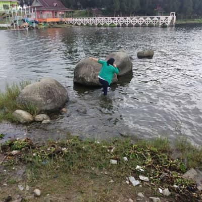 delima