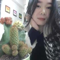 Trang