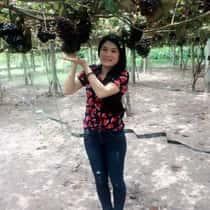 ThoTong