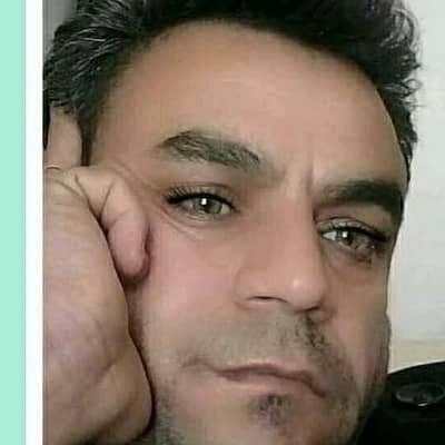 mohammadreza