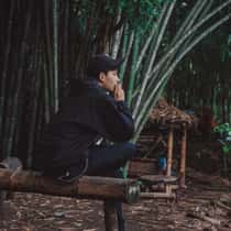 Royesa