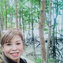 Mei Xin