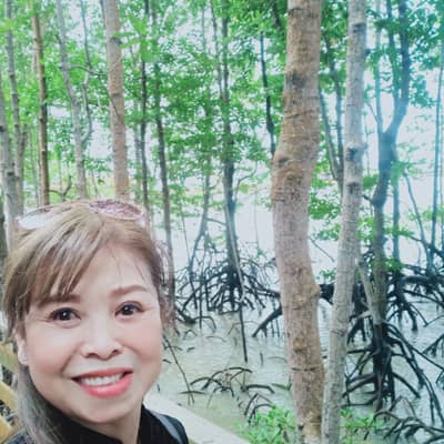 Mei Xin