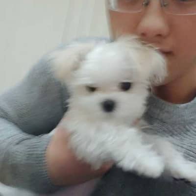 xxjay97